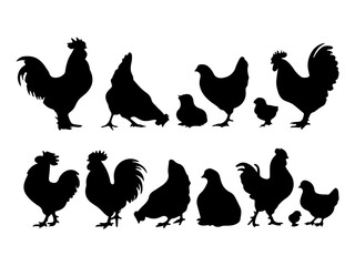 Collection of black rooster hen and chick silhouettes standing proudly together isolated on white background