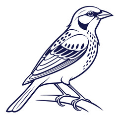 Obraz premium Dark Blue Bird Illustration Perched on Branch Line Art