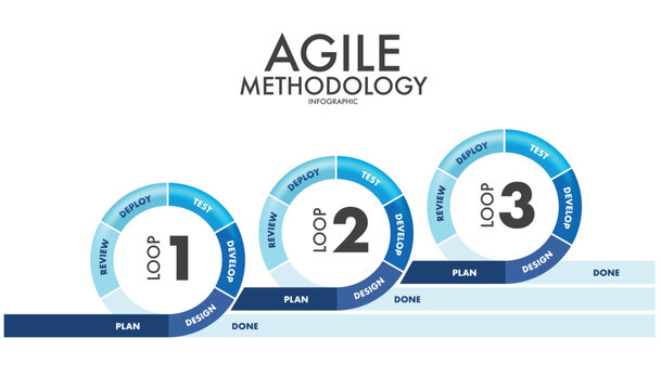 Agile methodology sprint life cycle chart. infographic software development. vector