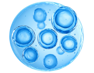  Colorful Human Stem Cell Cross-Section in 3D, Showing Nucleus and Membrane Layers, Educational Cutaway.