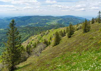 Around Black Forest Belchen