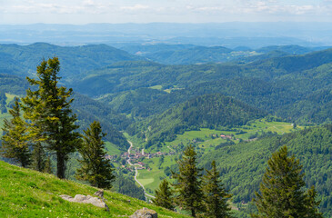 Fototapeta premium Around Black Forest Belchen