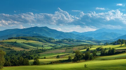 panoramic landscape of green fields for background