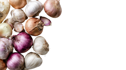 Collection of various types of fresh garlic on a white background