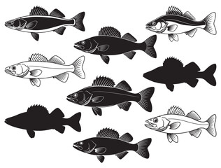 WALLEYE FISH SILHOUETTE