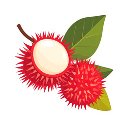 Fresh rambutan fruit with spiky red skin and green leaves. One fruit is halved, revealing the white, edible pulp inside. Vector illustration.