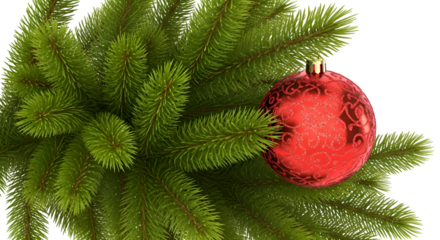 Create Festive Ornaments: Red Bauble on Green Pine Branch with Transparent Background