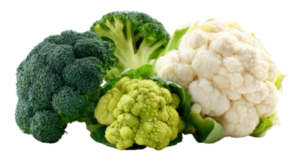 Fresh broccoli and cauliflower varieties on a white background.