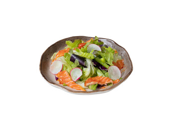 Exquisite Salmon Salad Presentation: A visually appealing shot showcasing an artfully arranged salmon salad, served in an elegantly designed ceramic dish.