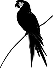 Macaw parrot black silhouette vector art