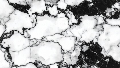 Fototapeta premium Abstract black and white marble swirl with fluid gray accents