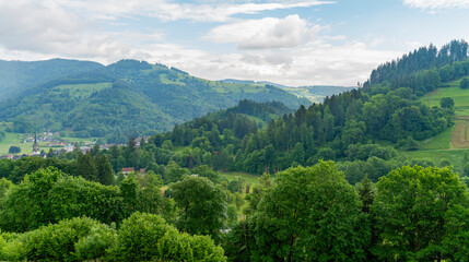 Around Schönau in the Black Forest