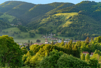 Around Schönau in the Black Forest