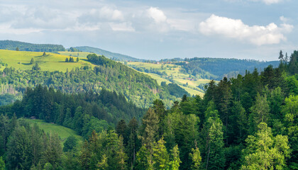 Around Schönau in the Black Forest