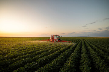 Tractor spraying crops in a lush green field at sunset.