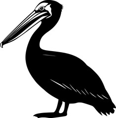 Pelican bird black silhouette vector drawing