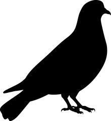 Pigeon bird black silhouette vector graphic