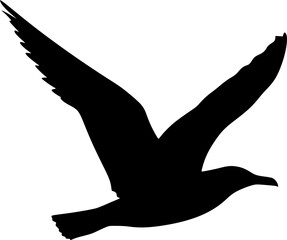 Seagull bird flying black silhouette vector artwork