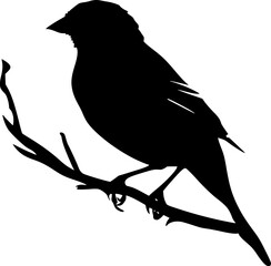 Sparrow bird black silhouette vector illustration