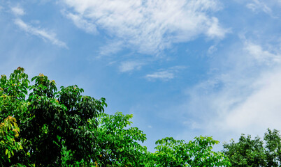 Obraz premium blue sky with clouds 