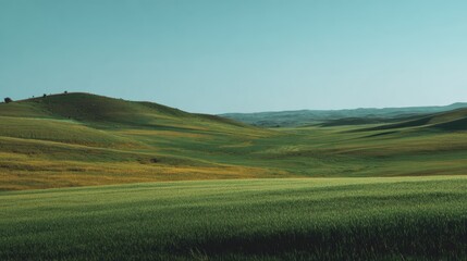Fototapeta premium panoramic landscape of green fields for background
