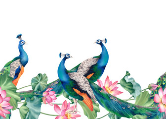 Peacock blue with lotus seamless border, pattern on a white background. Hand-painted watercolor illustration. A painting with a beautiful, vibrant Indian peacock. Clipart for Japanese interior decor.