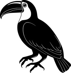 Toucan bird black silhouette vector graphic