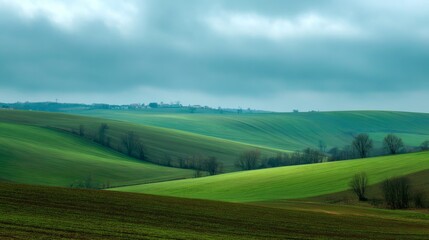 Obraz premium panoramic landscape of green fields for background