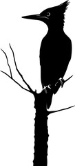 Woodpecker bird black silhouette vector art