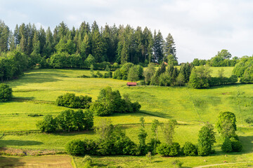 Around Schönenberg in the Black Forest
