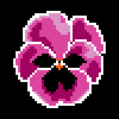 close up of a pink flower pixel art with a black background. The flower is a daisy and is very detailed. design for all business