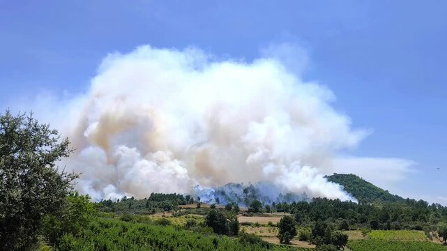 Inc&ecirc;ndio florestal de grandes propor&ccedil;&otilde;es com um helic&oacute;ptero ao fundo na luta contra as chamas que deixam muito fumo no ar