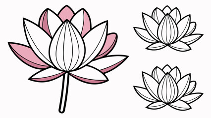 Fototapeta premium Pink and White Lotus Flower Vector Variations Closed Bud Open Bloom