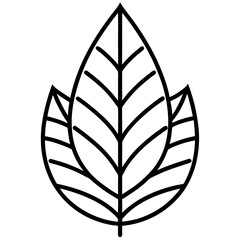 Botanical Leaf Outline Pack