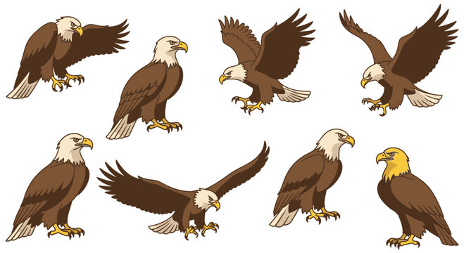 Various poses of eagles in illustration style with detailed features  