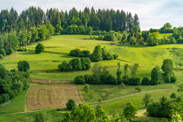 Around Schönenberg in the Black Forest