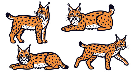 Lynx illustrated in various poses on white background  