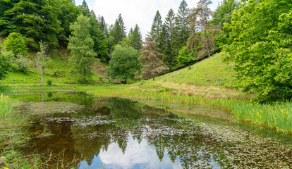 Idyllic small lake