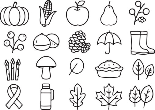 Autumn harvest and seasonal symbols line art vector