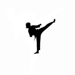 Silhouette of person kicking in martial arts pose on white background