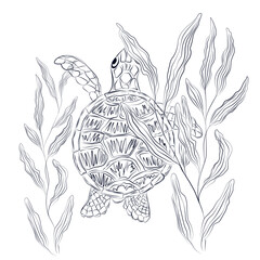 A turtle swims in seaweed. Underwater world. Ink. The poster. Vector stock illustration.