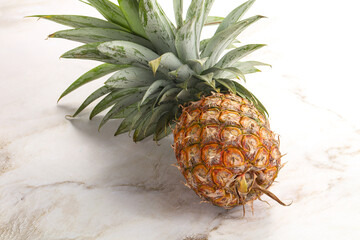 Tropical sweet exotic Pineapple fruit