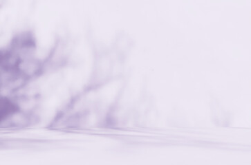 Empty purple studio room for product presentation with shadow of tree leaves on the wall. Interior concrete wall and floor design backdrop for displaying products. Shadow overlay effect.