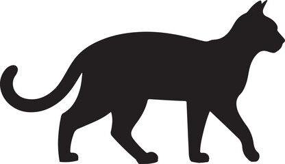 kangaroo vector illustration