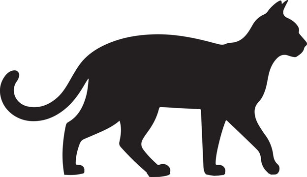 kangaroo vector illustration