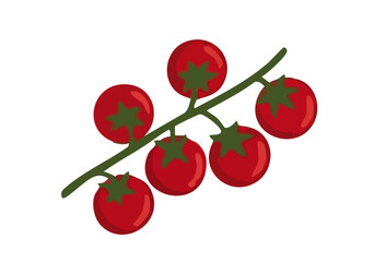 Obraz premium red cherry with leaves
