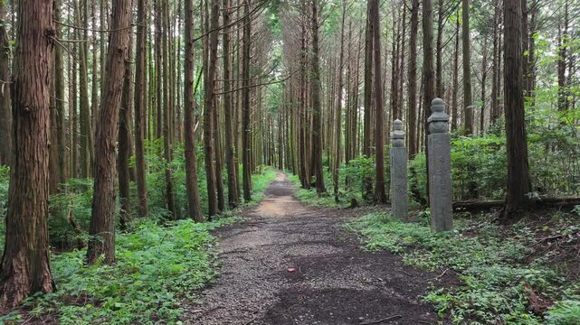 高野山町石道 144町石「一里石」和歌山県かつらぎ町　Historic Ichiri-ishi Milestone &ndash; 144th Stone Marker on the Koyasan Choishi-michi Trail, Katsuragi, Wakayama Prefecture