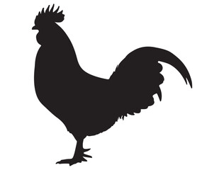 ROOSTER SILHOUETTE