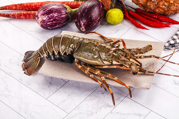 Raw wild fresh spiny lobster