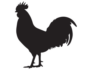 ROOSTER SILHOUETTE
